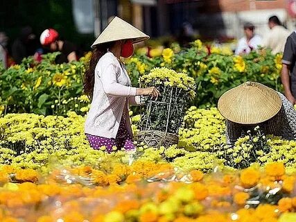 Sự Bùng Nổ Của Video Ngắn và Trí Tuệ Nhân Tạo: Vai Trò Thiết Yếu Của Đào Tạo Kỹ Năng Sáng Tạo Nội Dung_Ứng dụng rút ngắn video
