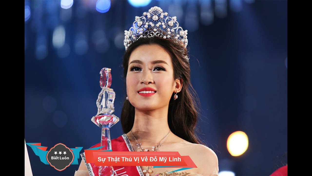 Hotspot Matrix – Giải pháp toàn diện cho thời đại video ngắn và tiếp thị số_Hiệu quả tiếp thị kỹ thuật số kênh