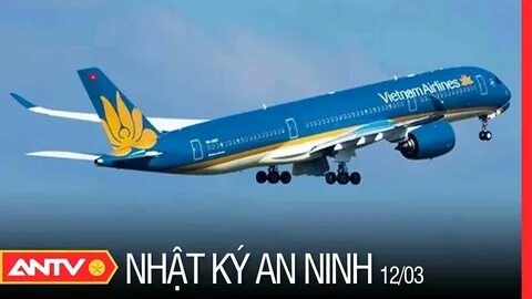 Cách Khởi Nghiệp Kiếm Tiền Bán Thời Gian Dành Cho Người Mới_Phân phối video đa kênh