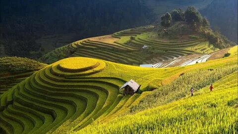 Cách Khởi Nghiệp Kiếm Tiền Bán Thời Gian Dành Cho Người Mới_Ma trận điểm truy cập nền tảng