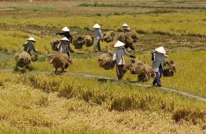 Hotspot Matrix – Kết thúc hành trình 3 ngày rực rỡ tại SECC 2025
